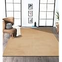 Obsessions Large Indoor Polyester Carpet with Solid