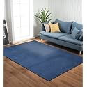 Obsessions Large Indoor Polyester Carpet with Solid