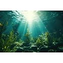 Ocean Aquarium Background Aquatic Plants with Rocks Terrarium Backdrop Sunlight Rays Deep Sea Fish Tank Background Aquarium Wallpaper Poster Decor Vinyl 30x18in