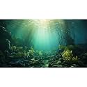 Ocean Aquarium Background Underwater Kelp Forests Fish Tank Background Under The Sea Aquatic Plants Sunrays Reptile Fish Tank Backgrounds Ocean Bed Rock Seagrass Aquarium Backgrounds 24x16in