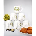 Leaf Print Ceramic Cup Set 1186, Tea Cups Set Of 6 Pieces, 130Ml, White, Tea Cups Set, 6 Pc Tea Cup Sets, Round Shape Cool Cup Sets., 0.15 Liter