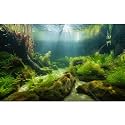 Ocean Floor Fish Tank Background Underwater Stone Aquarium Background Under Water Background Cave Sunlight Fish Tank Backdrop Decoration Aquarium Backdrop Durable Vinyl 48x18in