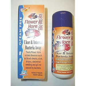 ocean free flowerhorn medicine - ulcer amp internal bacteria away 150 ml  central fish aquarium 