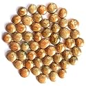 OhhSome [1KG] Golden Pebbles/Stones for hydroponics/Home Garden/Indoor Plants