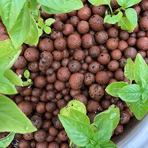 ohhsome clay balls 5 kg approx 16-17 litre clay balls hydroponics aquaponics and gardening5 kg approx 16-17 litre