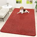 OLANLY Dog Door Mat for Muddy Paws 70x46, Super Absorbent Chenille Mud Mat