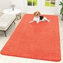 OLANLY Dog Door Mat for Muddy Paws 70x46, Super Absorbent Chenille Mud Mat