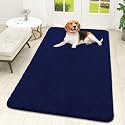 OLANLY Dog Door Mat for Muddy Paws 59x32, Super Absorbent Chenille Mud Mat