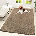 OLANLY Dog Door Mat for Muddy Paws 59x35, Super Absorbent Chenille Mud Mat