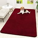 OLANLY Dog Door Mat for Muddy Paws 70x46, Super Absorbent Chenille Mud Mat