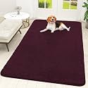 OLANLY Dog Door Mat for Muddy Paws 70x46, Super Absorbent Chenille Mud Mat