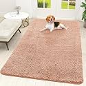 OLANLY Dog Door Mat for Muddy Paws 70x46, Super Absorbent Chenille Mud Mat
