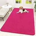 OLANLY Dog Door Mat for Muddy Paws 70x46, Super Absorbent Chenille Mud Mat