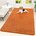 OLANLY Dog Door Mat for Muddy Paws 70x46, Super Absorbent Chenille Mud Mat