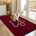 OLANLY Dog Door Mat for Muddy Paws 54x32, Paw Print Design Chenille Mud Mat
