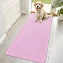 OLANLY Dog Door Mat for Muddy Paws 70x35, Super Absorbent Chenille Mud Mat