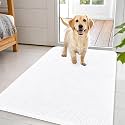 OLANLY Dog Door Mat for Muddy Paws 44x32, Super Absorbent Chenille Mud Mat