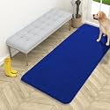 OLANLY Dog Door Mat for Muddy Paws 54x24, Super Absorbent Chenille Mud Mat