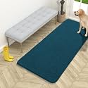 OLANLY Dog Door Mat for Muddy Paws 54x24, Super Absorbent Chenille Mud Mat