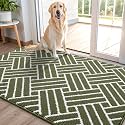 OLANLY Indoor Door Mat 48x32, Low-Profile Dirt Resistant Doormat, Green