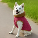 OLENE Winter Jacket for Dog Cat