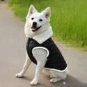 OLENE Winter Jacket for Dog Cat