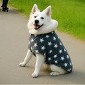 OLENE Winter Jacket for Dog Cat