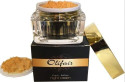 Olifair Night Cream