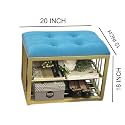 Metal Frame Shoe Bench: Shoe Rack with Cushioned Seat Ottoman Stoolfor Foyer, Living RoomBedroom, and Hallway Organizing Shoes Gold Green
