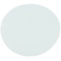 Omicron 170047R Nylon Membrane Filters, 0.2 μm, 47 mm (Pack of 100)