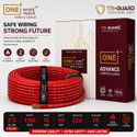 ONEWIRE INDIA 2.5 SQ MM FR PVC