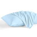 Pillowcase 13 x 18 Inch, 600 Thread Count Egyptian Cotton Set of 2 Pillowcase Zipper Closure Pillow Cover - Travel 13x18 Zipper, Light Blue Solid