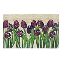 Onlymat Printed Door Mat (Multicolour, Coir, 75 X 45 X 1.5 Cm)
