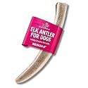 Onward Hound Elk Antlers for Dogs, Split Medium 6 in+, 1-Pack