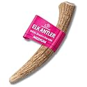 Onward Hound Elk Antlers for Dogs, Whole Medium 6 in+, 1-Pack