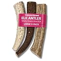 Onward Hound Elk Antlers for Dogs, Whole Large 7 in+, 3-Pack