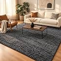 Ophanie 5x7 Area Rugs for Living Room Grey, Fluffy Shag Large Fuzzy Plush Soft Rug, Gray Shaggy Floor Big Carpets for Bedroom Nursery, Kids Home Decor Aesthetic with Over 99 pcs Pile fibers