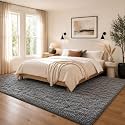 Ophanie 8x10 Area Rugs for Living Room,Upgrade Non-Slip Fluffy Soft Large Shag Bedroom Carpet, Grey Big Indoor Thick Rug,Gray Carpets for Boy and Girls Room Decor with Over 99 pcs Pile fibers