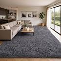 Ophanie Area Rugs 10x14 Living Room, Large Grey Bedroom Carpet, Big Shag Indoor Thick Soft Nursery Rug, Fluffy Carpets for Boy and Girls Room Home Decor Aesthetic with Over 99 pcs Pile fibers