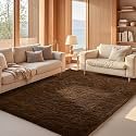 Ophanie Brown Rugs for Living Room Bedroom, 6x9 Fluffy Fuzzy Furry Carpet,Plush Soft Shaggy Bedside Indoor Floor Area Rug for Kids Girls Boys Baby Teen Dorm Nursery Decor with Over 99 pcs Pile fibers