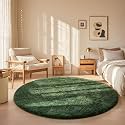Ophanie Round Rug 5Ft Grey Green Circle Area Rug, Grayish Green Room Decor, Fluffy Fuzzy Bedroom Carpet,Plush Soft Shaggy Living Room Rugs for Kids Home Aesthetic,Nursery with Over 99 pcs Pile fibers