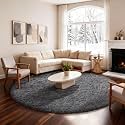 Ophanie Round Rug 6Ft Grey Circle Area Rugs,Fluffy Fuzzy Large Bedroom Carpet 6 Foot,Plush Shag Solid Indoor Floor Gray Living Room Circular Decor for Kids Teen Boys Baby,with Over 99 pcs Pile fibers