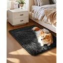 Ophanie Small Rug Washable Non Slip Throw Bedside Area Rugs, Fluffy Soft Mini Bedroom Carpet, Door Entryway Indoor Inside Front Entrance 1.5x2.5 Mat, Home Decor Aesthetic, Black
