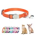 Orange Cat Collar with Bell Breakaway Boy Kitten Collar with Bells
