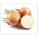 Orange Onion Seeds for Planting | Premium High Germination Seeds | High Yield | Non-GMO | Ideal for Home Garden &amp; Farm(Pack Of 100 + Seed)