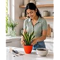 Orange Plastic Flower Pot for Indoor amp
