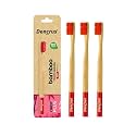 Orby Plus Bamboo Toothbrush for Adults (Pack of 3) | 100% Natural &amp; Eco Friendly Manual Toothbrush | Ultra Soft Bristles for Gentle Sensitive Gum Care | Red