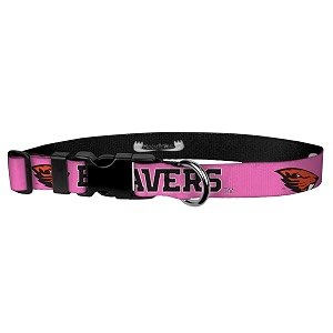 oregon state beaver on pink wear adjustable collar 134 x-large