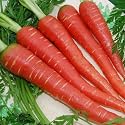 Organic Carrot Seeds Non-GMO Heirloom Variety Pack of 150+ Seeds, With 20+ Marigold Free