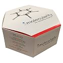 Organic Chemistry Student Molecular Model Kit by Molecularity 200 + Pieces
